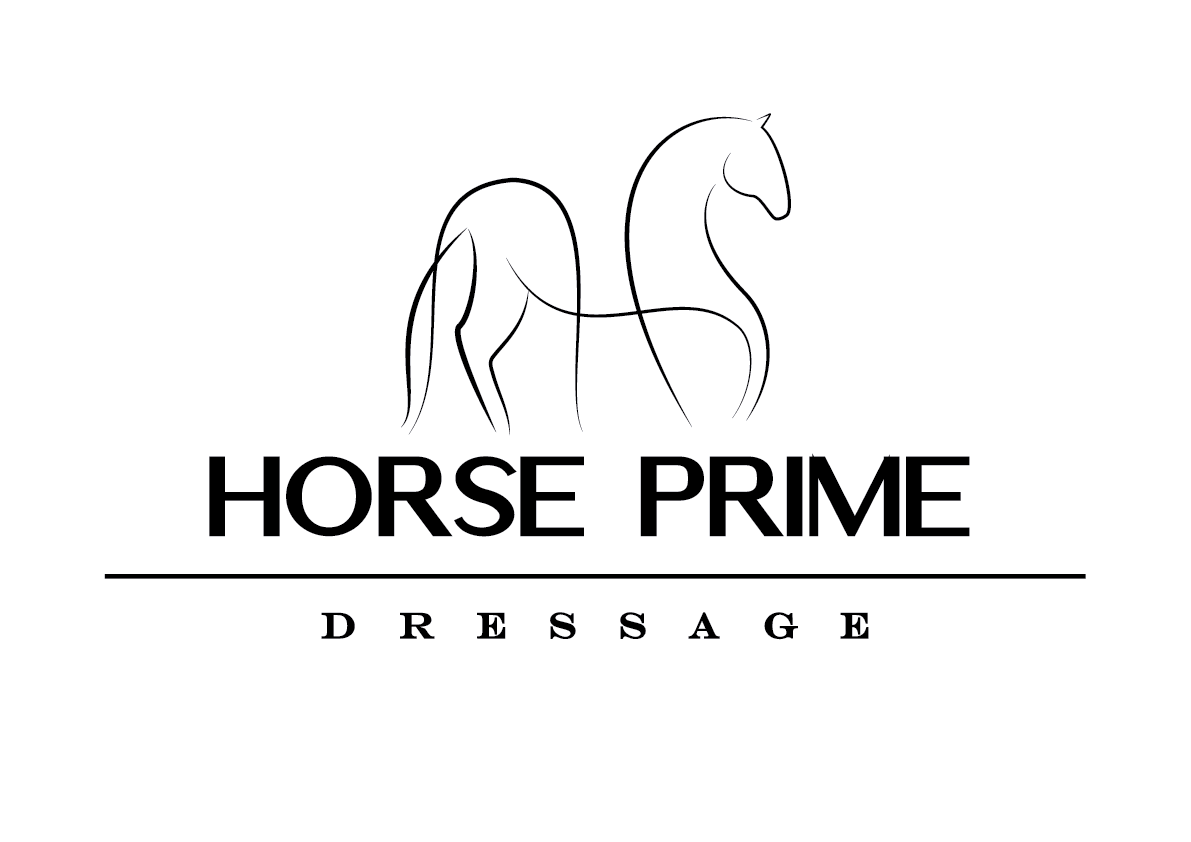 HORSE PRIME Dressage